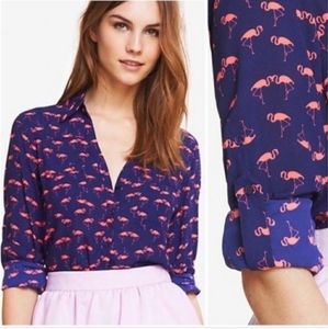 Express Pink Flamingo Portofino